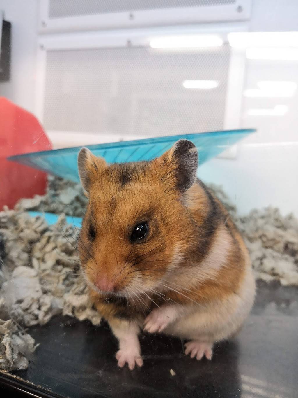 The Marketplace | shopping mall | 1411 W Covell Blvd, Davis, CA 95616, USA | 9252791800 OR +1 925-279-1800