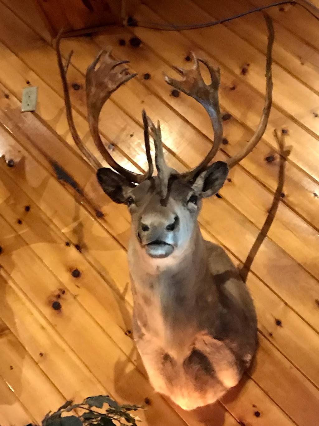 Pogos Harbor Inn | restaurant | 7194 County Rd T, Gordon, WI 54838, USA | 7154662836 OR +1 715-466-2836