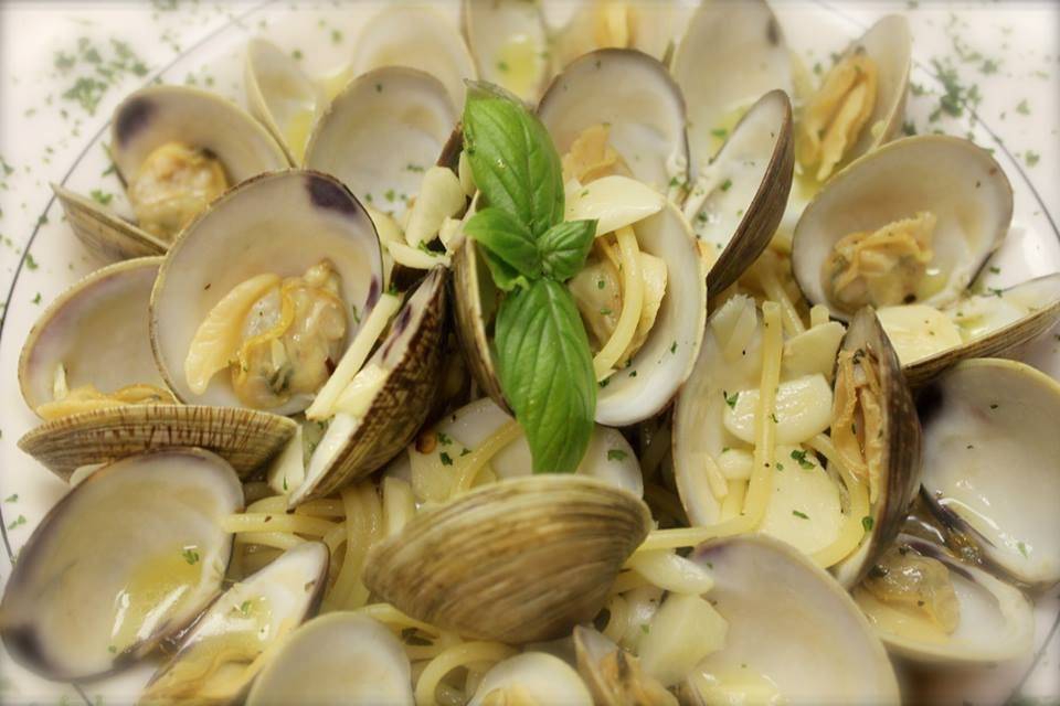 Panevino Ristorante | restaurant | 8853 North Tamiami Trail, Naples, FL 34108, USA | 2395148655 OR +1 239-514-8655