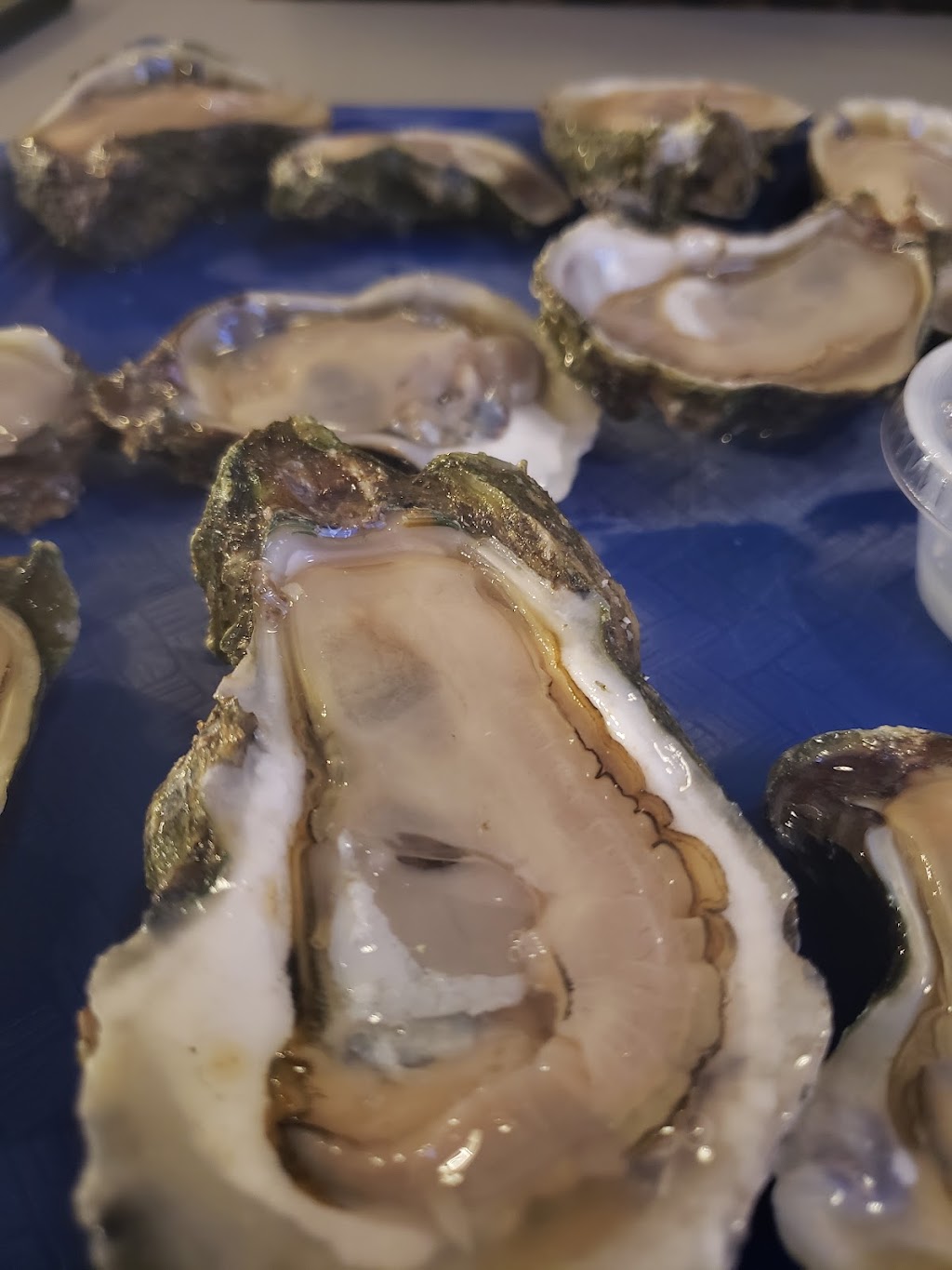 Indian Pass Raw Bar | restaurant | 8391 County Rd 30A, Port St Joe, FL 32456, USA | 8502271670 OR +1 850-227-1670