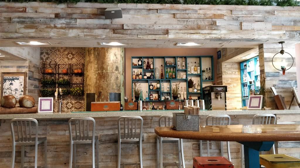 Taco Dumbo | restaurant | 56 Prospect St, Brooklyn, NY 11201, USA | 3472020306 OR +1 347-202-0306