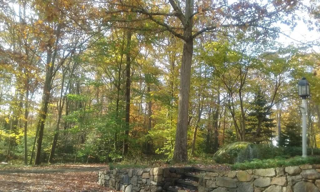 peter the greek house number | restaurant | 456 Cheese Spring Rd, New Canaan, CT 06840, USA | 2035243587 OR +1 203-524-3587