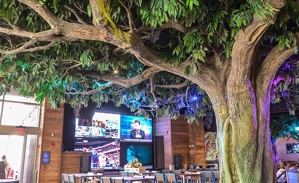 The Park Street Food Bar | restaurant | 3 S 2nd St #114, Phoenix, AZ 85004, USA | 6023625627 OR +1 602-362-5627