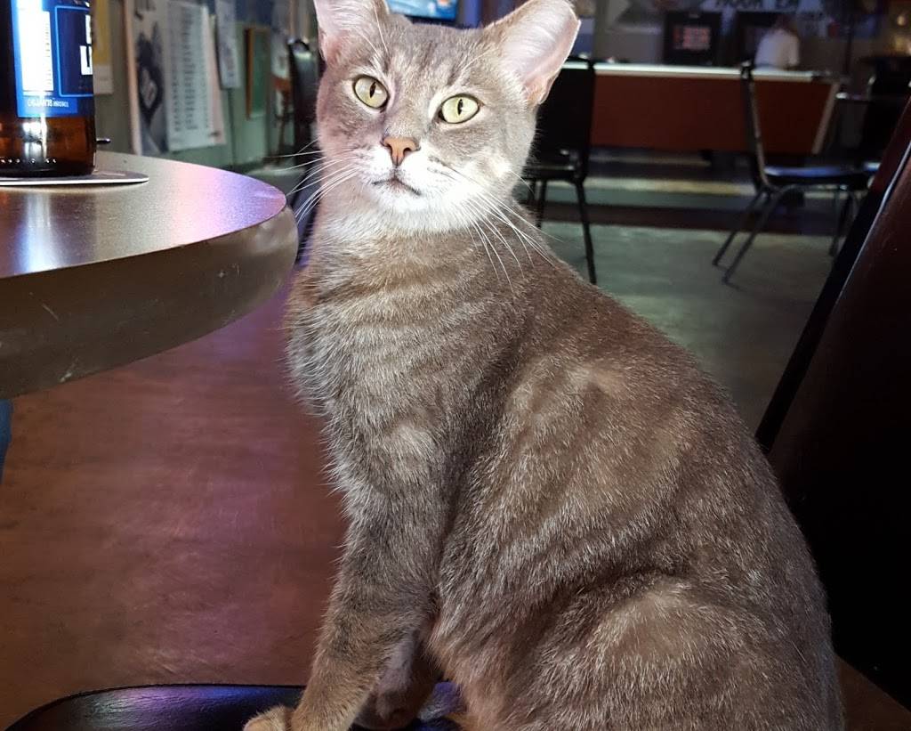 Dallasite Billiards | cafe | 4822 Bryan St, Dallas, TX 75204, USA | 2148263670 OR +1 214-826-3670