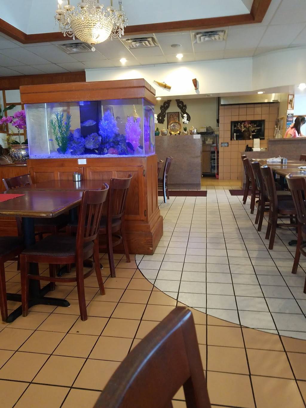 Orchid Cafe | restaurant | 56 W Square Lake Rd, Troy, MI 48098, USA | 2488284149 OR +1 248-828-4149