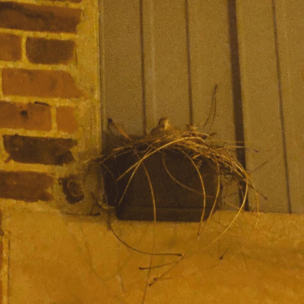 Steve’s Village Inn | restaurant | 30 N Main St, Kingston, OH 45644, USA | 7406422082 OR +1 740-642-2082