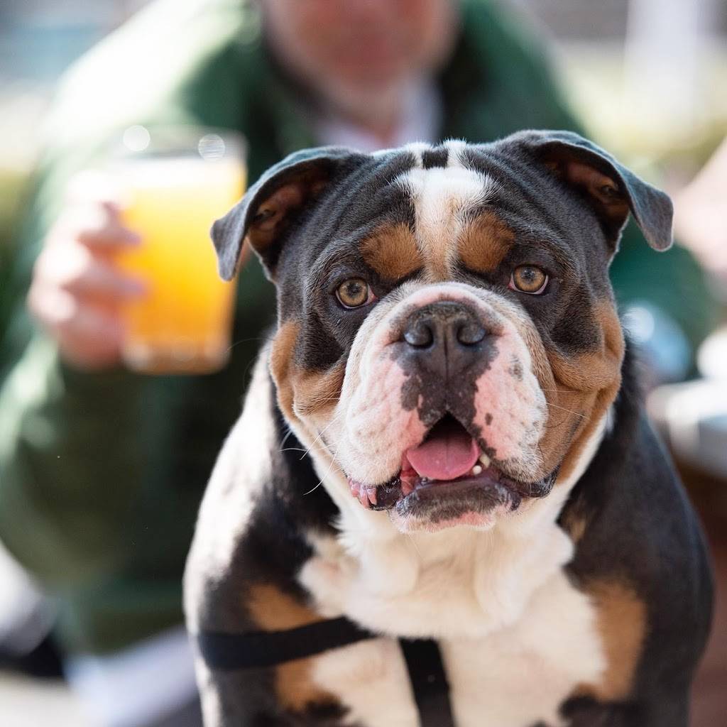 Penn Cove Taproom - Oak Harbor | restaurant | 780 SE Bayshore Dr, Oak Harbor, WA 98277, USA | 3606822247 OR +1 360-682-2247