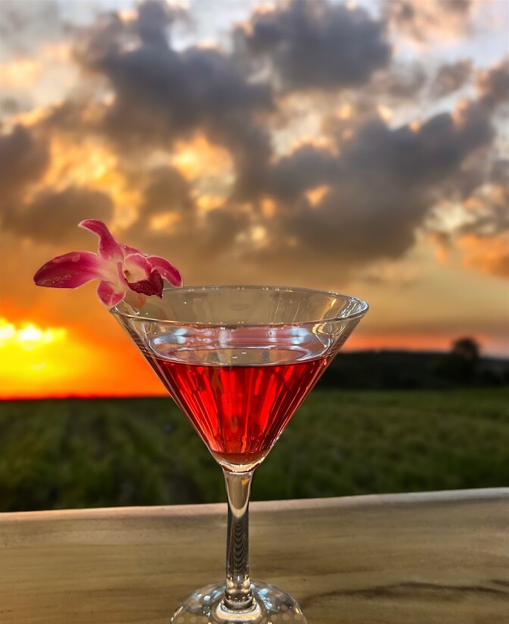 Miyo’s at Columbiana Drive ___ M Kitchen | restaurant | 340 Columbiana Dr, Columbia, SC 29212, USA | 8037640558 OR +1 803-764-0558