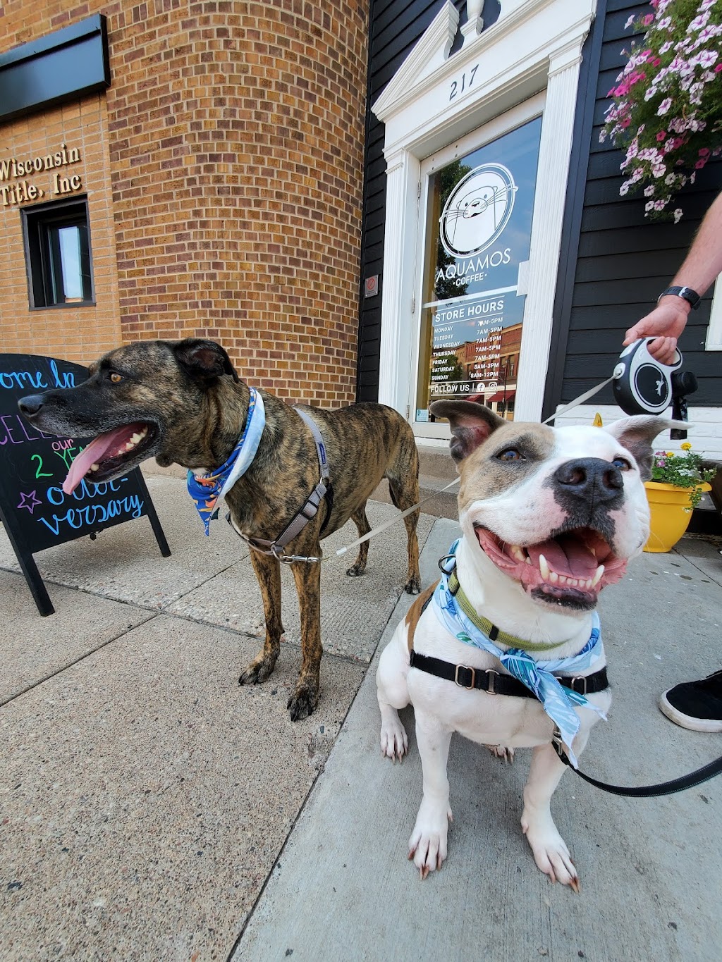 Aquamos Coffee Collaborative | bakery | 217 S Main St, Waupaca, WI 54981, USA | 7152700249 OR +1 715-270-0249