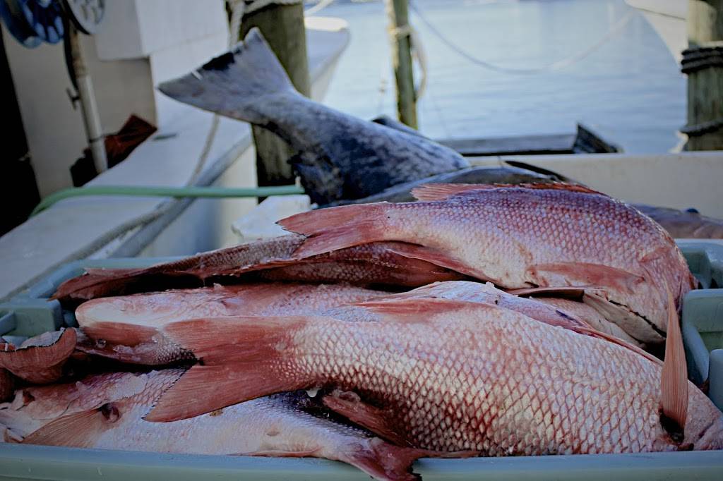 Chucks Fish | restaurant | 508 Greensboro Ave, Tuscaloosa, AL 35401, USA | 2052489370 OR +1 205-248-9370