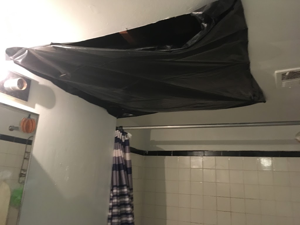 Timber Cove Apartments | restaurant | 8529 Rising Sun Ave, Philadelphia, PA 19111, USA | 2157254521 OR +1 215-725-4521