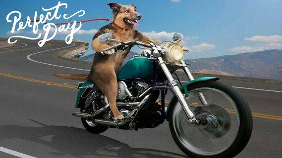 Camden Whiskey Bar | restaurant | 42 E Central Ave, Camden, OH 45311, USA | 9374525581 OR +1 937-452-5581