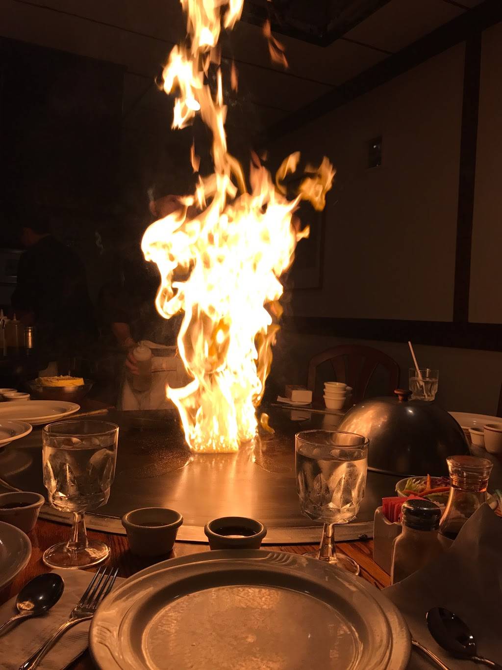 Hana Yori of Japan | restaurant | 3601 Grape Rd, Mishawaka, IN 46545, USA | 5742585817 OR +1 574-258-5817