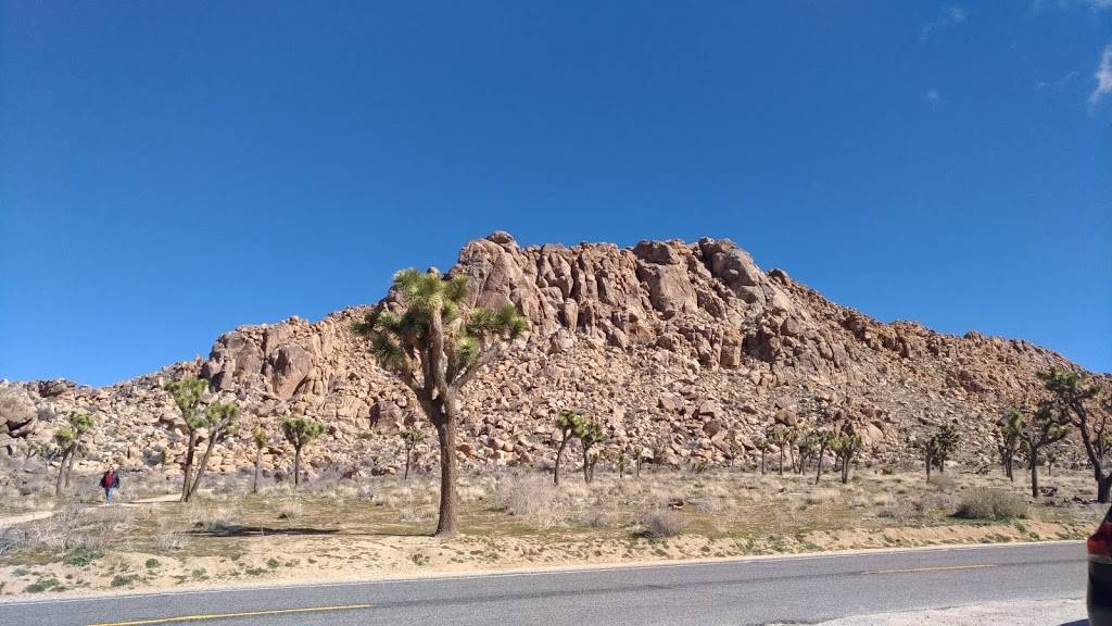 Popeyes Louisiana Kitchen | restaurant | 57858 Twentynine Palms Highway, Yucca Valley, CA 92284, USA | 7604185889 OR +1 760-418-5889