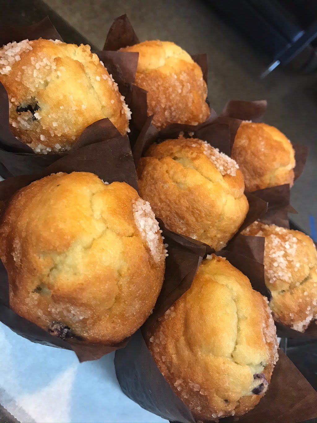 Farrells on the Island | restaurant | 221 E Davis Blvd, Tampa, FL 33606, USA | 8132518877 OR +1 813-251-8877