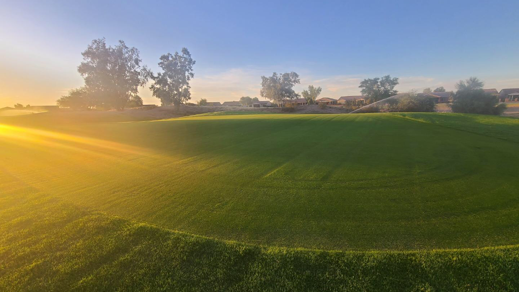 Mission Royale Golf Course | restaurant | 11 Mission Pkwy, Casa Grande, AZ 85194, USA | 5208765335 OR +1 520-876-5335