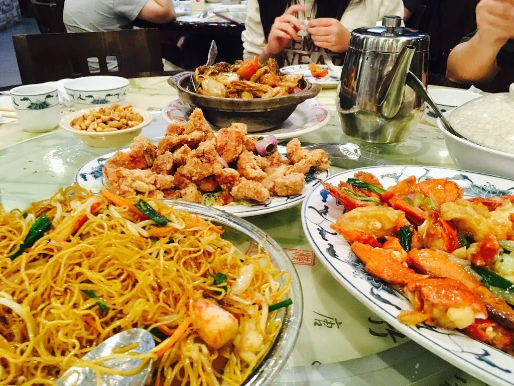 Dragon City | meal takeaway | 6706 Stirling Rd, Hollywood, FL 33024, USA | 9548948393 OR +1 954-894-8393