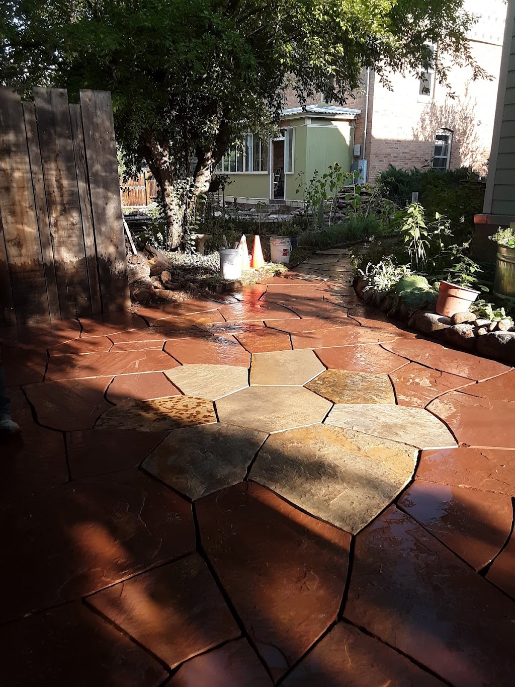 Fatbelly Burgers | restaurant | 220 Main St, Carbondale, CO 81623, USA | 9709631569 OR +1 970-963-1569