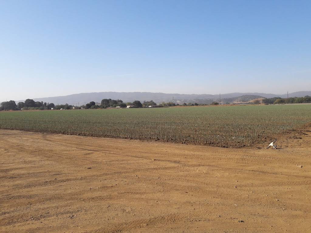 Tacos El Abuelo | restaurant | 145 Masten Ave, Gilroy, CA 95020, USA | 4088499203 OR +1 408-849-9203