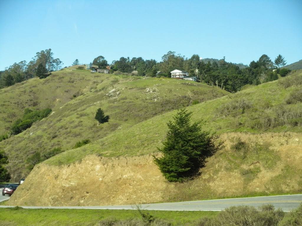 Stow Lake Boathouse | restaurant | 50 Stow Lake Dr E, San Francisco, CA 94118, USA | 4153862531 OR +1 415-386-2531