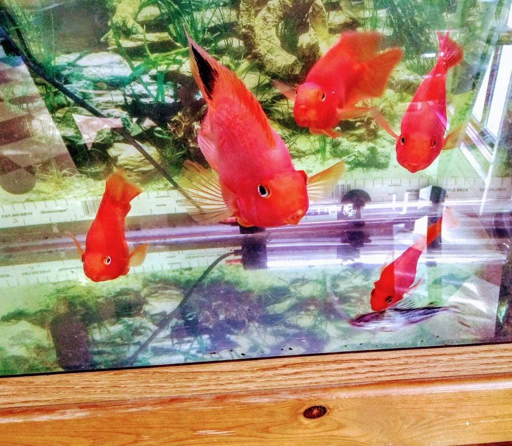 China Gourmet | restaurant | 180 Main Rd, Tiverton, RI 02878, USA | 4016259788 OR +1 401-625-9788