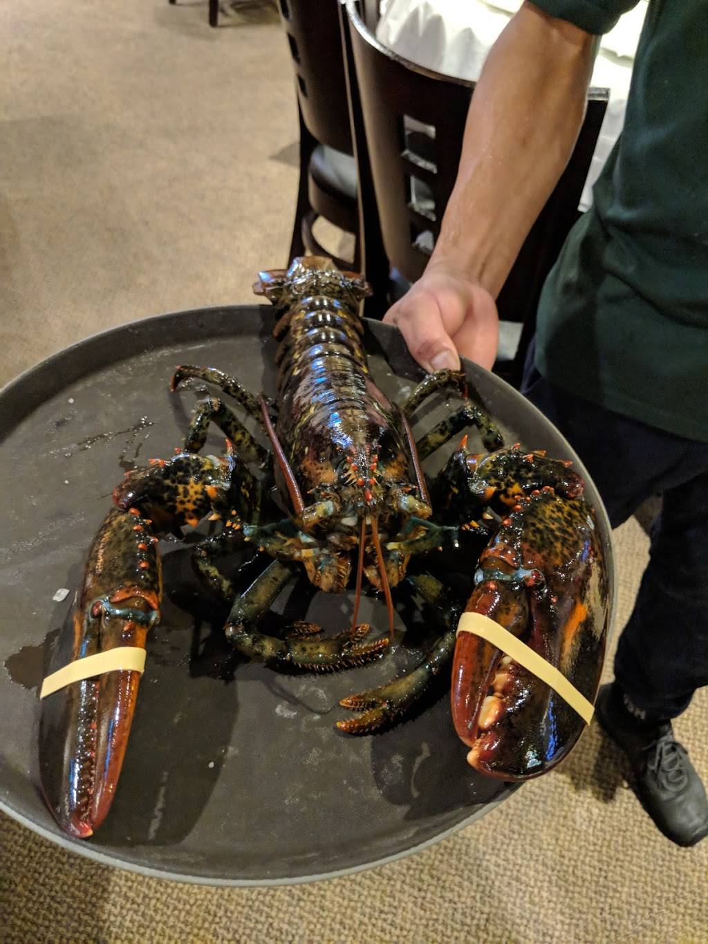 Hai Cang Harbor | restaurant | 11768 Bellaire Blvd #2452, Houston, TX 77072, USA | 2815644288 OR +1 281-564-4288