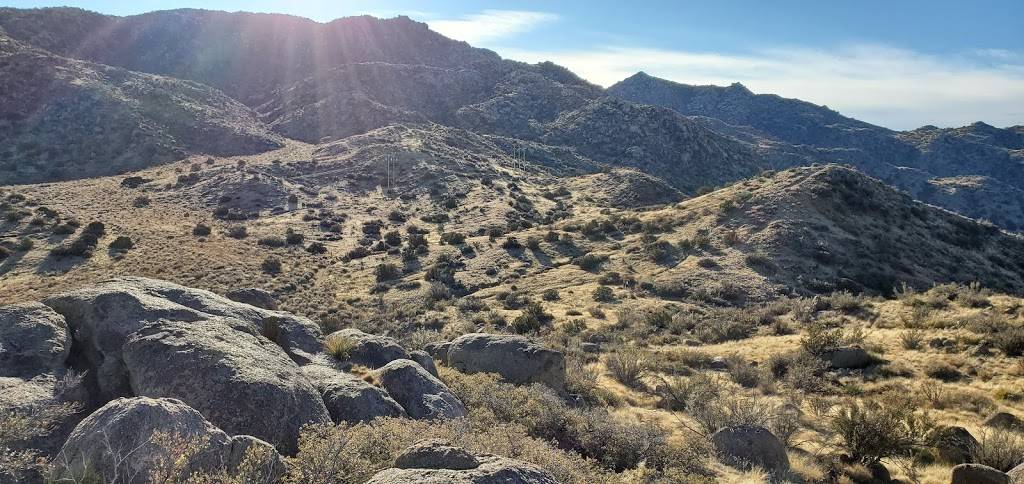 Horse & Angel Tavern | restaurant | 5809 Juan Tabo Blvd NE #1st, Albuquerque, NM 87111, USA | 5052990225 OR +1 505-299-0225