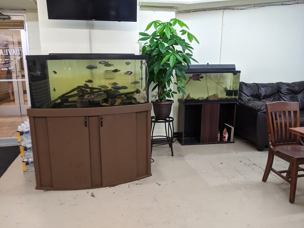 Davlatovs at The Carlton (Formerly Carlton Deli Mart) | restaurant | 4600 South Four Mile Run Drive Suite C1 Bottom Floor of the Carlton Condos Facing Four Mile Run halfway down the building, access from the parking lot!, 4600 S Four Mile Run Dr Suite #1215, Arlington, VA 22204, USA | 7039985800 OR +1 703-998-5800