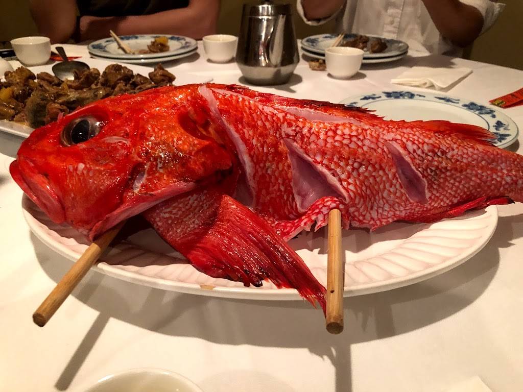 Pearl of China | restaurant | 3651 Peachtree Pkwy # D, Suwanee, GA 30024, USA | 7704959818 OR +1 770-495-9818