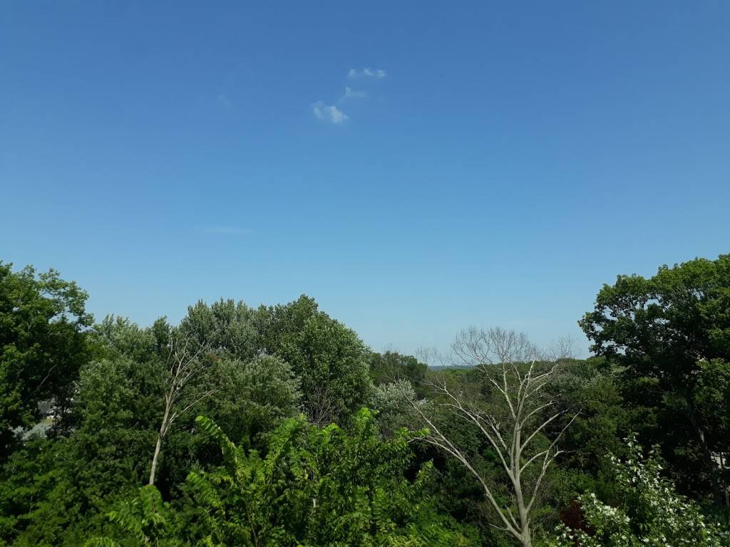 1 Sourwood Circle, Worcester, MA 01605 | restaurant | 1 Sourwood Cir, Worcester, MA 01605, USA | 6695003395 OR +1 669-500-3395