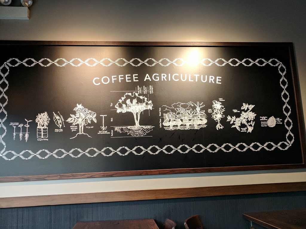 Starbucks | cafe | 2159 W Belmont Ave, Chicago, IL 60618, USA | 7739355680 OR +1 773-935-5680