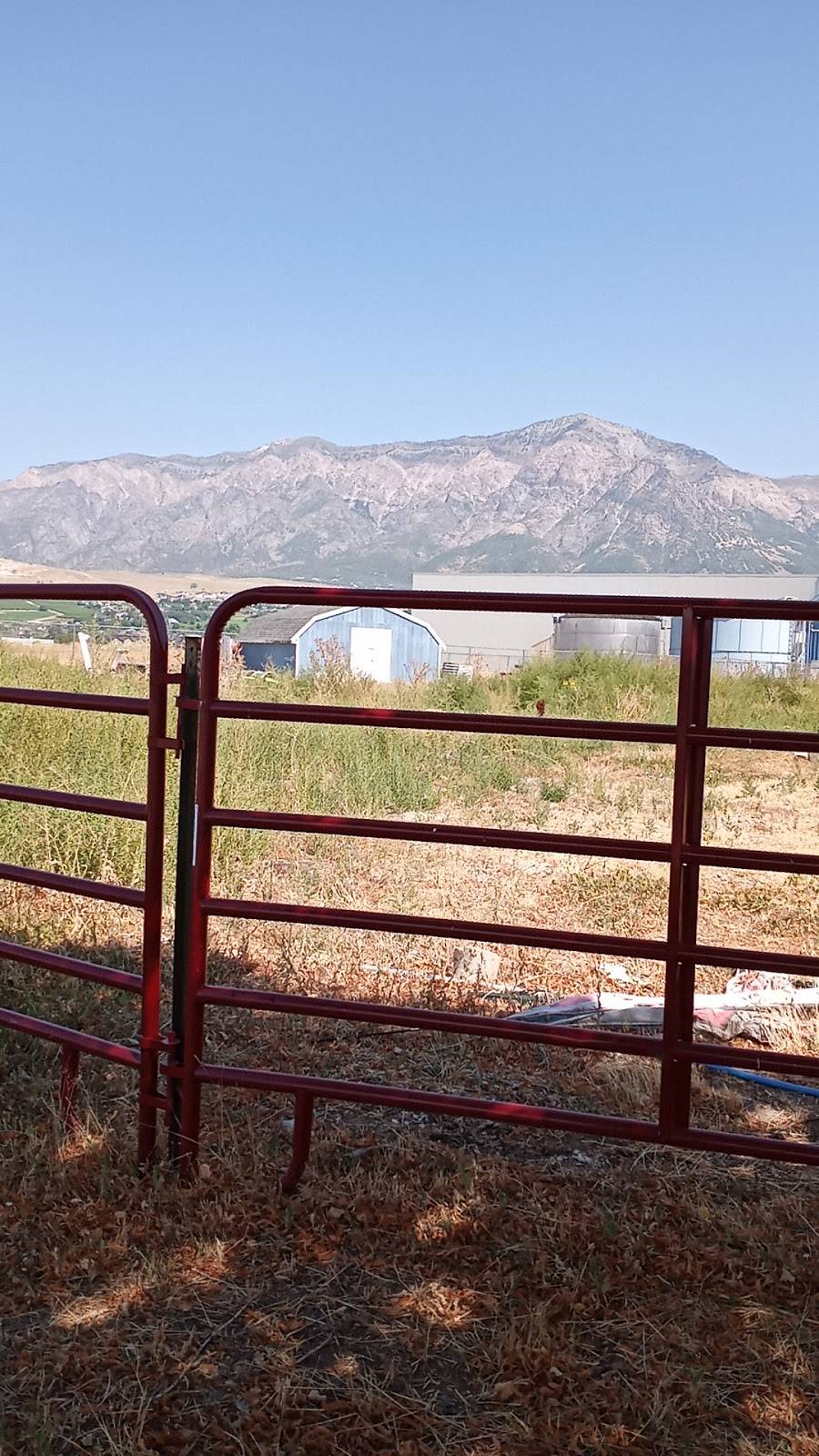 Scooters Coffee | bakery | 1136 W 2700 N, Pleasant View, UT 84404, USA | 3852068595 OR +1 385-206-8595