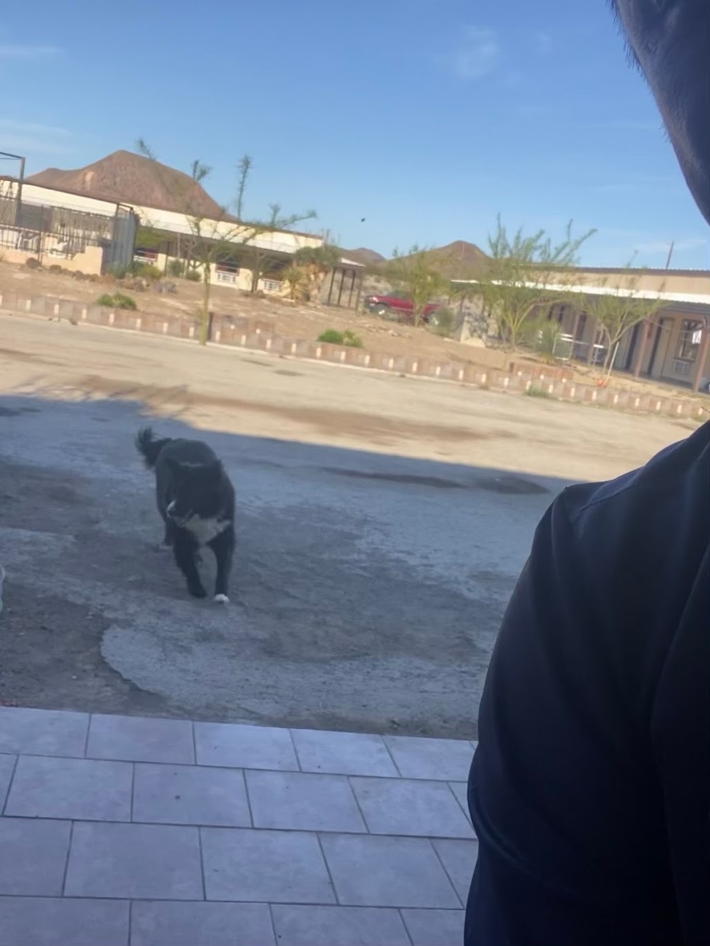 Tivos Restaurant | restaurant | 53270 TX-118, Terlingua, TX 79852, USA | 4323712133 OR +1 432-371-2133