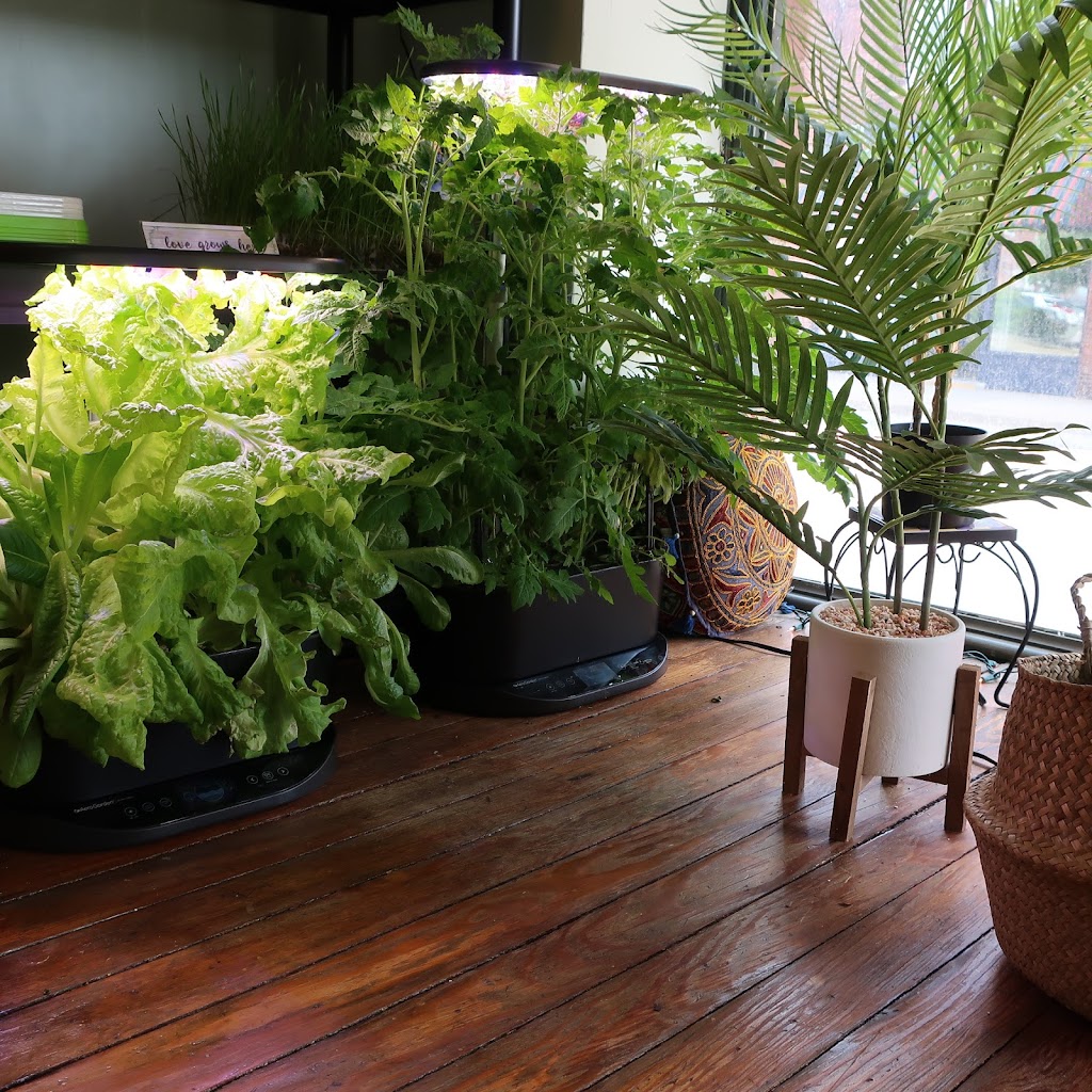 Beautiful YOU by Denise | restaurant | 107 N Prospect St, Ravenna, OH 44266, USA | 3302359814 OR +1 330-235-9814