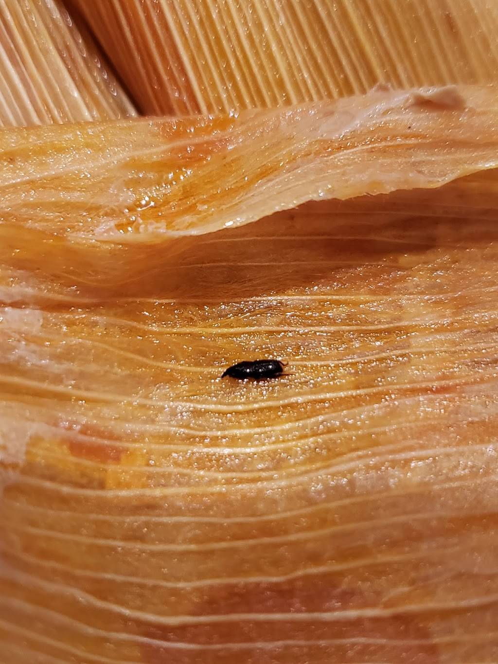 Delicious Tamales | restaurant | 3520 S New Braunfels Ave, San Antonio, TX 78223, USA | 2107350275 OR +1 210-735-0275