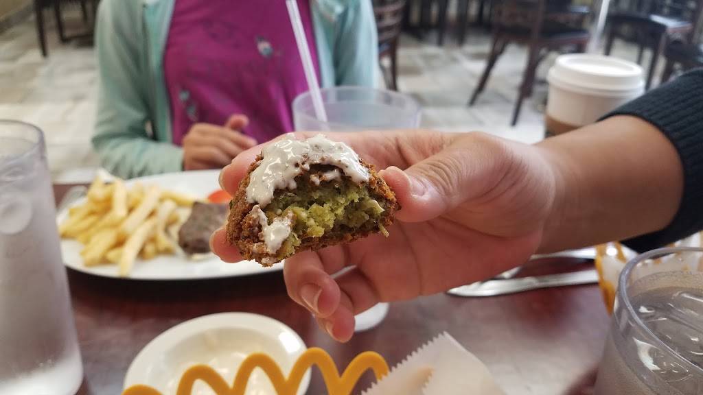 Basha Kabab | restaurant | 2807 Old Spanish Trail, Houston, TX 77054, USA | 7137471000 OR +1 713-747-1000