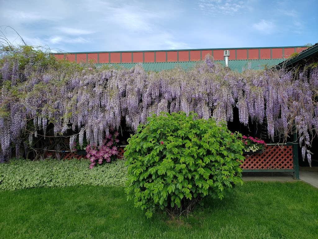 Mugsys Tavern & Grill | restaurant | 7161 Main St, Bonners Ferry, ID 83805, USA | 2082678059 OR +1 208-267-8059