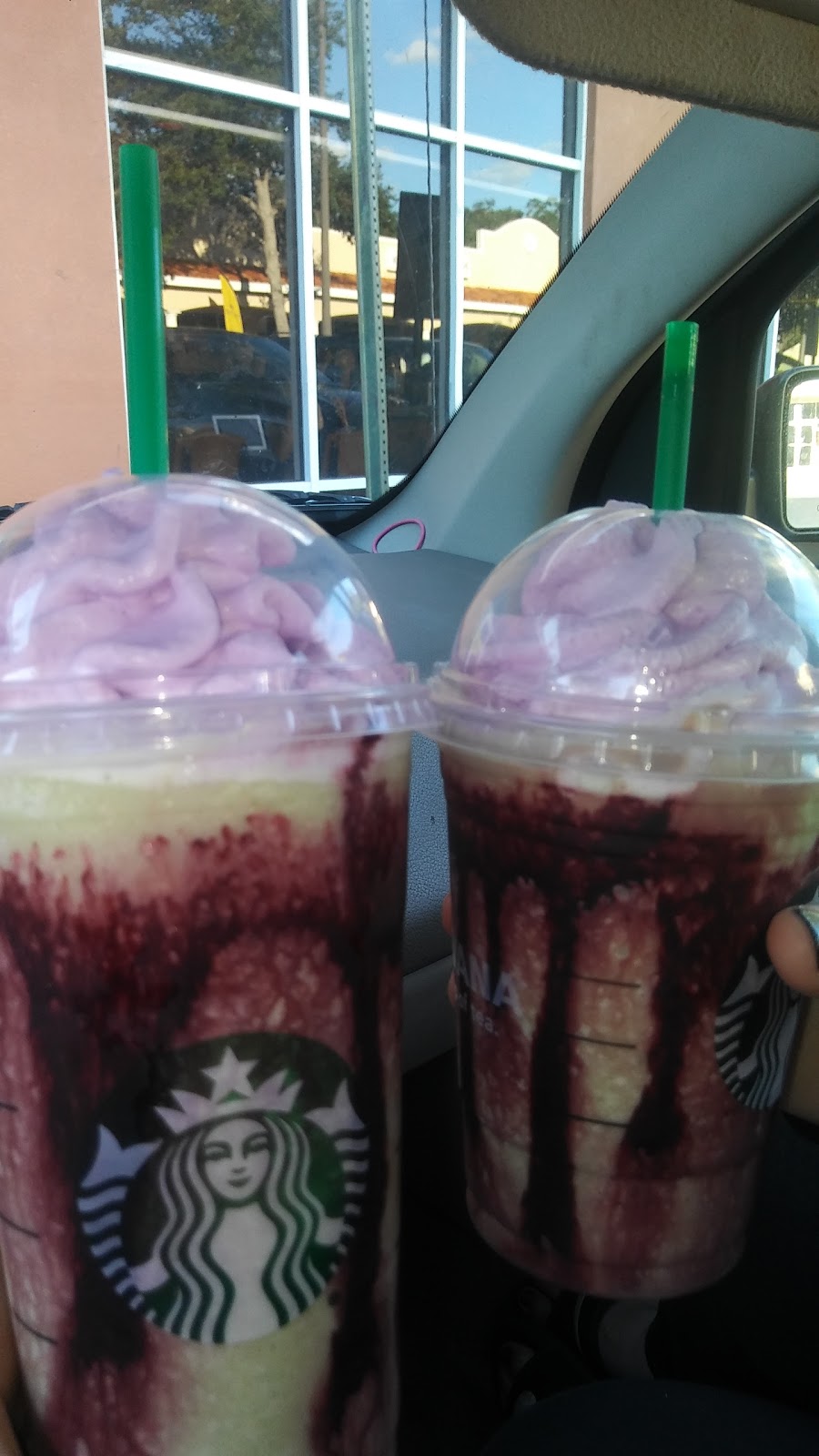 Starbucks | cafe | 3409 W Bay to Bay Blvd, Tampa, FL 33629, USA | 8138350506 OR +1 813-835-0506