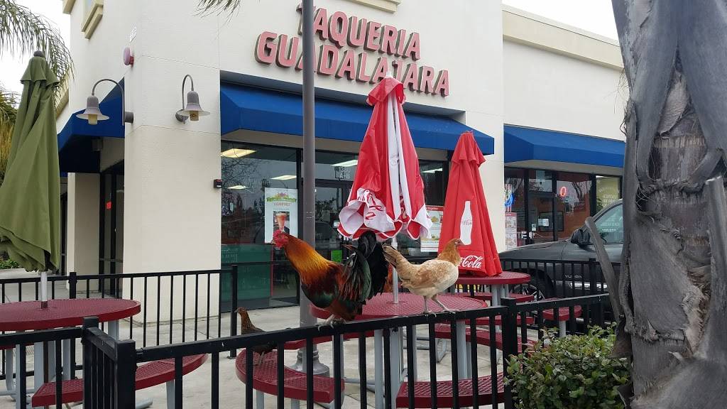 Taqueria Guadalajara | restaurant | 1380 Franklin Rd # A, Yuba City, CA 95993, USA | 5308229767 OR +1 530-822-9767