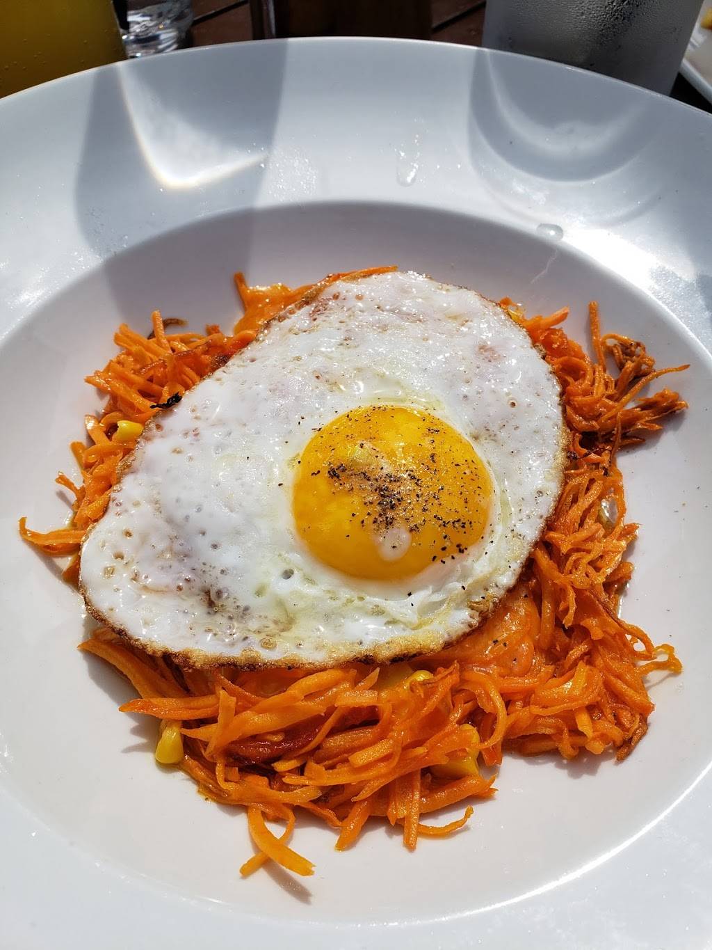 The Roof on Wilshire | restaurant | 6317 Wilshire Blvd, Los Angeles, CA 90048, USA | 3238526002 OR +1 323-852-6002