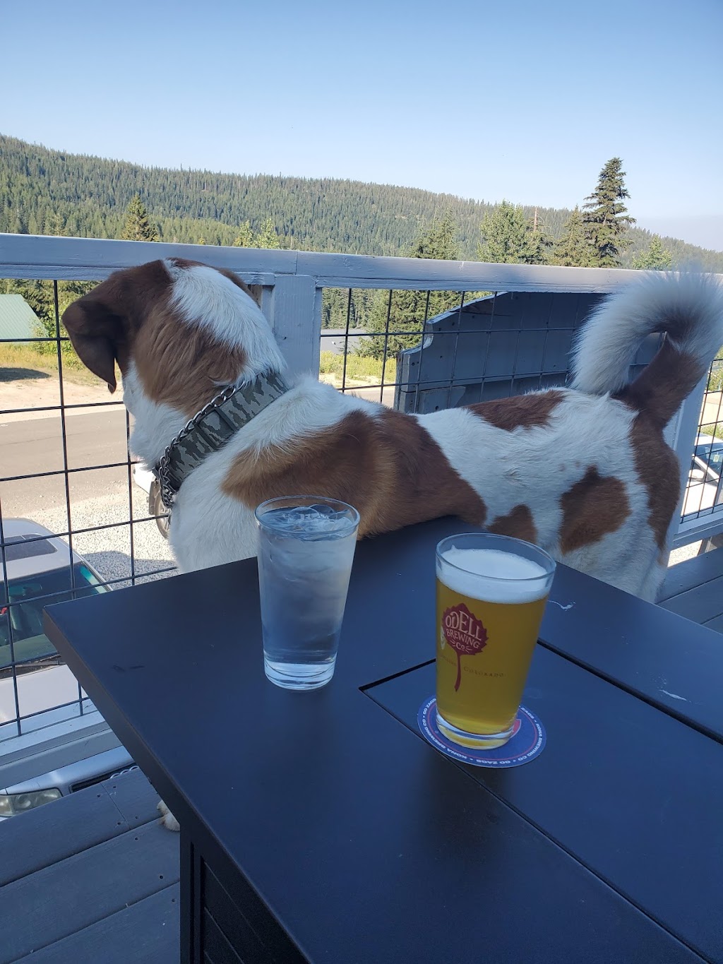 The St. Bernard | restaurant | 479 NW Psge, Sandpoint, ID 83864, USA | 2089205521 OR +1 208-920-5521