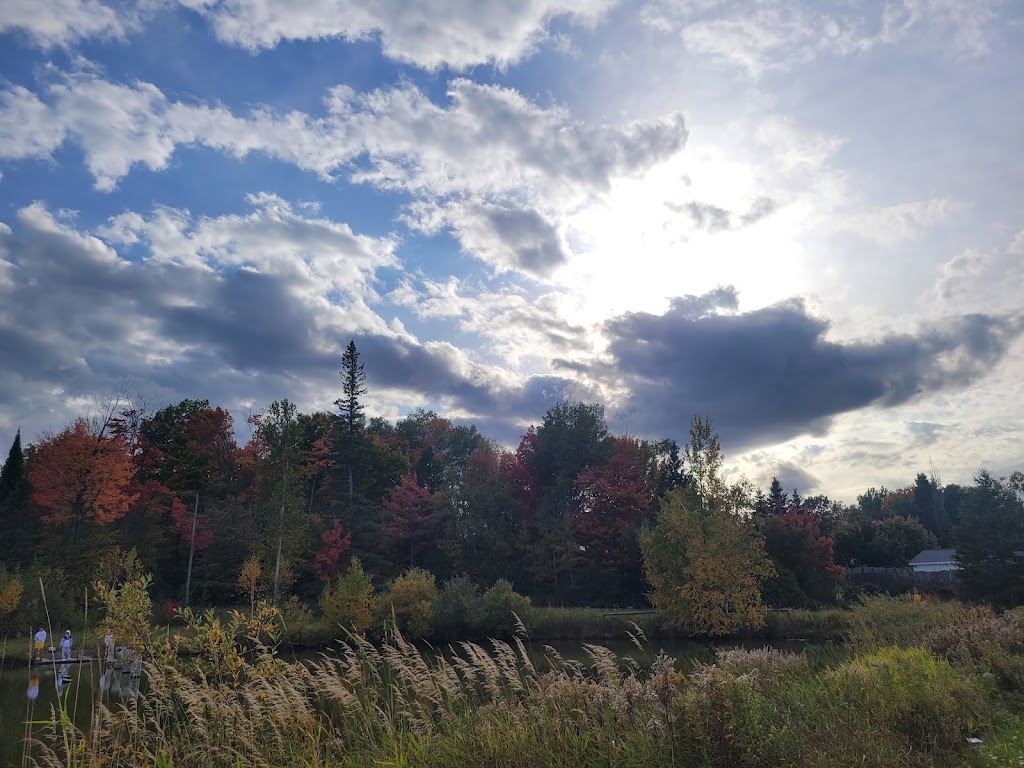 Burger King | restaurant | 4441 I-75 Business Spur, Sault Ste. Marie, MI 49783, USA | 9066357400 OR +1 906-635-7400