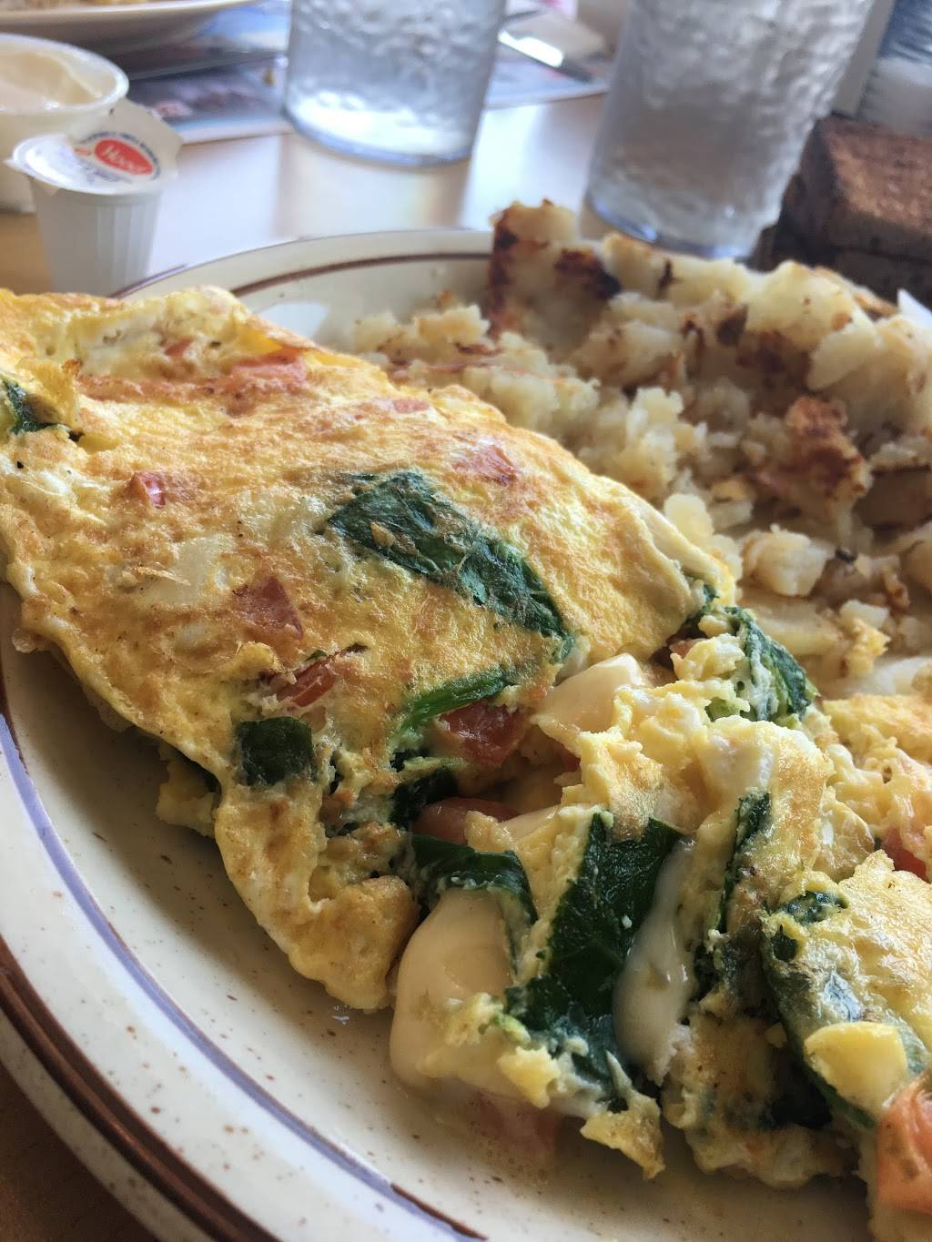 Freds Beach Haven Diner | restaurant | 305 N Bay Ave, Beach Haven, NJ 08008, USA | 6094924269 OR +1 609-492-4269