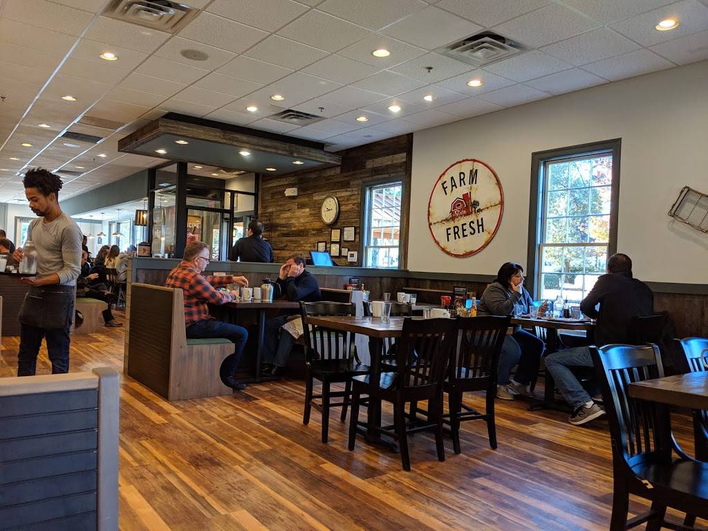 First Watch - Dunwoody | restaurant | 1317 Dunwoody Village Pkwy #101, Dunwoody, GA 30338, USA | 6784433447 OR +1 678-443-3447