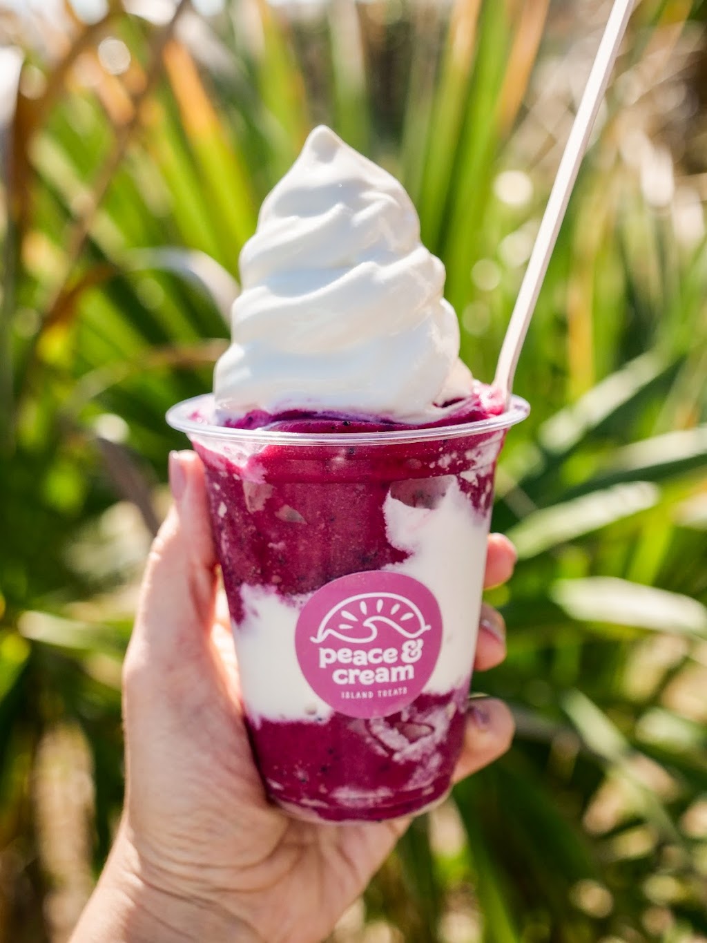 Peace & Cream | restaurant | 9650 N Ocean Shore Blvd, St. Augustine, FL 32080, USA | 9042741962 OR +1 904-274-1962