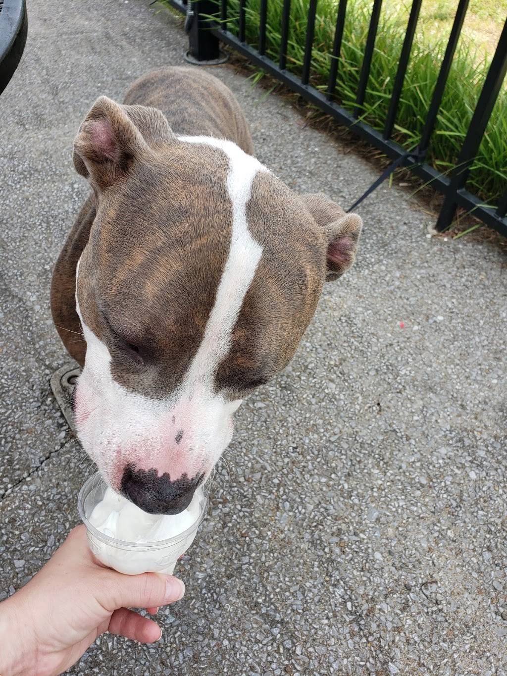 Dairy Queen Grill & Chill | restaurant | 4831 Nolensville Pike, Nashville, TN 37211, USA | 6158315600 OR +1 615-831-5600