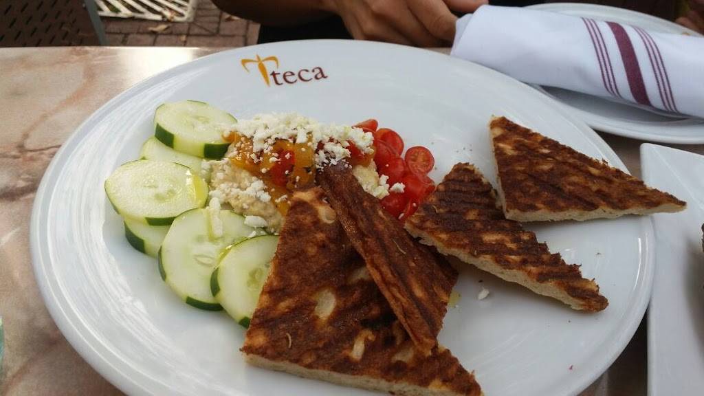 Teca | restaurant | 38 E Gay St, West Chester, PA 19380, USA | 6107388244 OR +1 610-738-8244