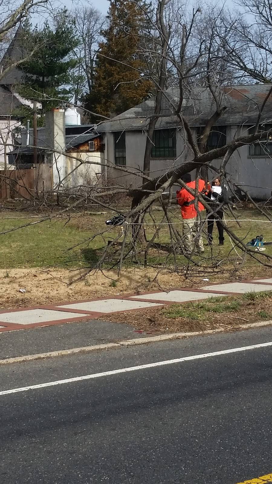 Orange Blossom Cafe & Bakery | bakery | 308 Broad St, Riverton, NJ 08077, USA | 8563038700 OR +1 856-303-8700