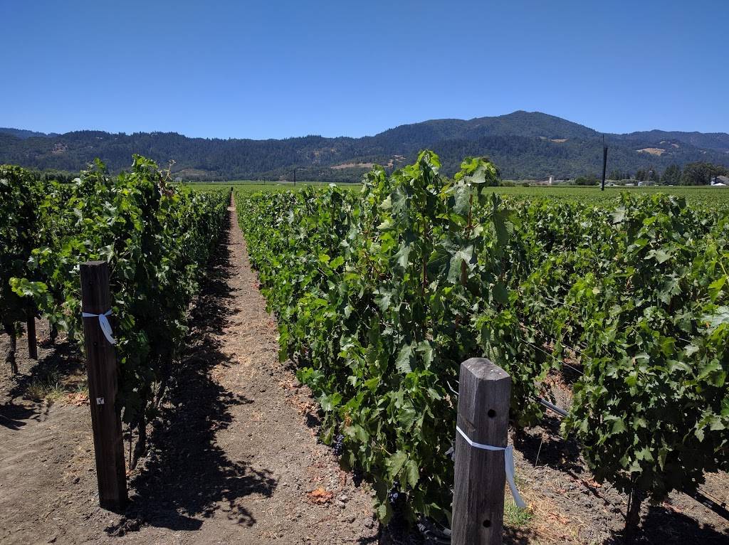 Opus One Winery | restaurant | 7900 St Helena Hwy, Oakville, CA 94562, USA | 7079449442 OR +1 707-944-9442