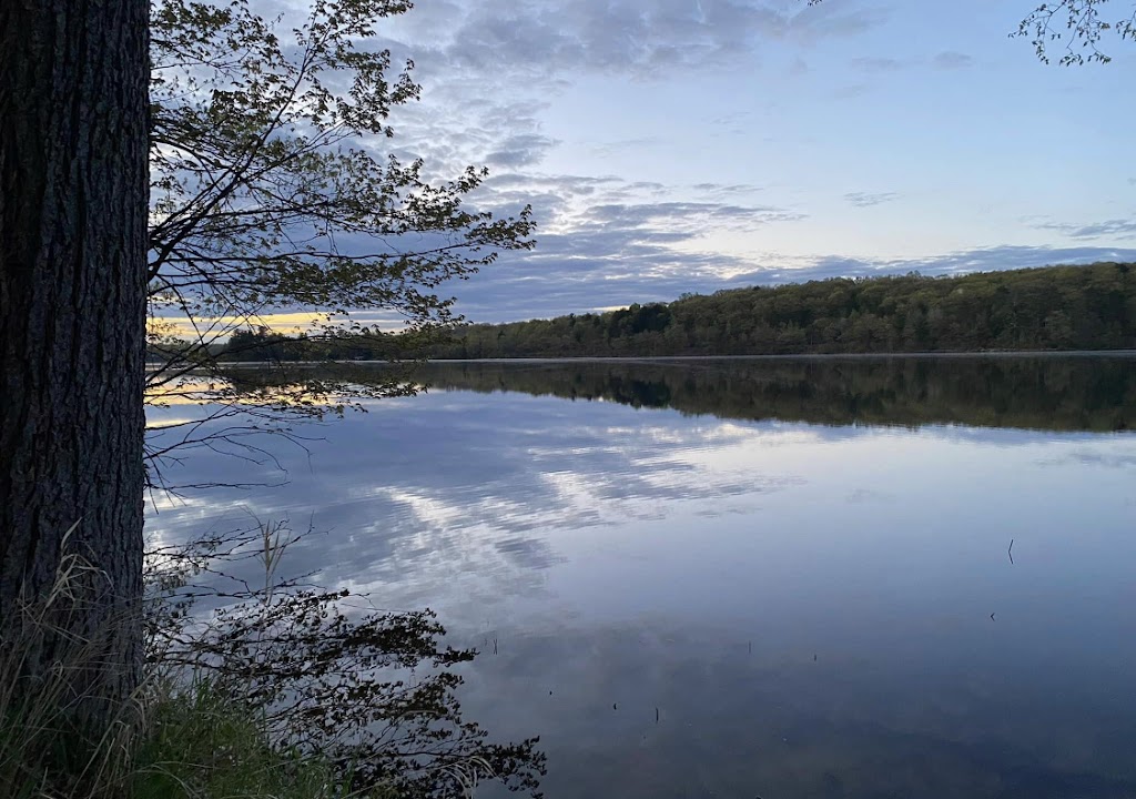 Smith Lake Bar & Grill | restaurant | 11706 N Eaton Rd, Hayward, WI 54843, USA | 7156613478 OR +1 715-661-3478